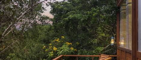 A wooden deck with a table and chairs, surrounded by lush greenery and a sunset in the background.