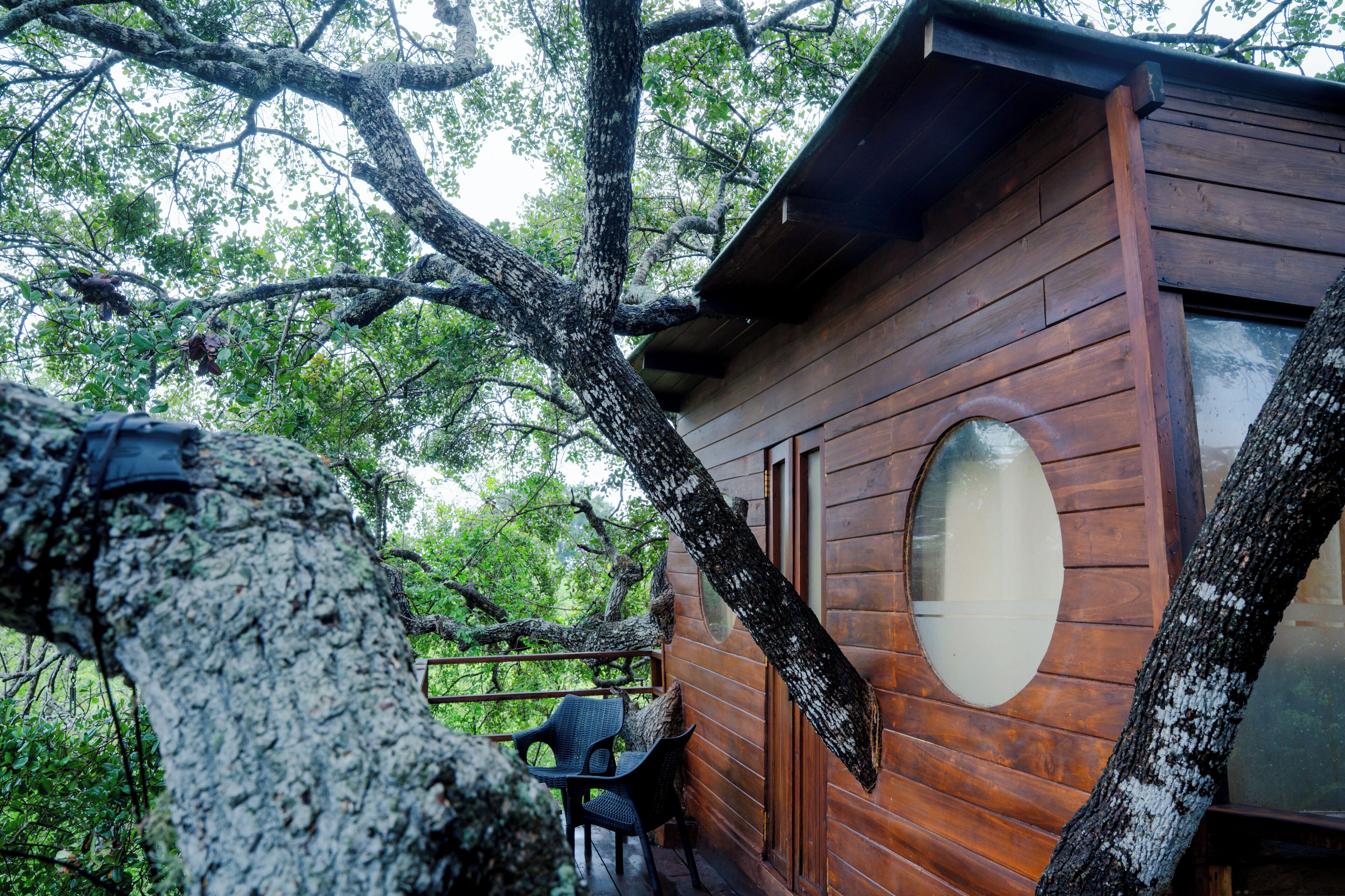 Queen Tree Nest | 1 habitación y ropa de cama 