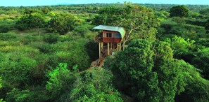 Room - Leopard Nest in Yala (Tissamaharama)
