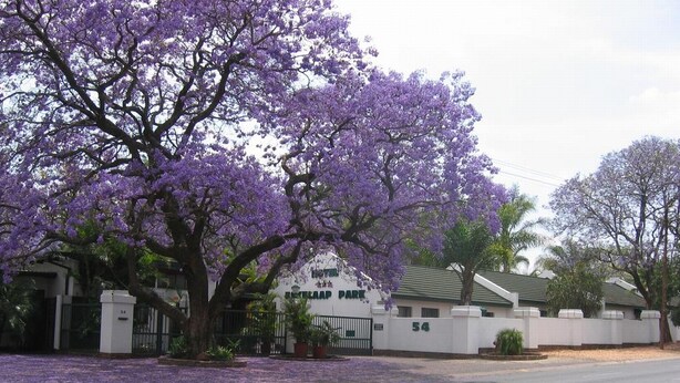 A hotel with a white facade, a large tree with purple flowers, and a gated entrance. - Eskulaap Hotel and Conference (Polokwane)