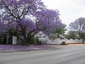A hotel with a white facade, a large tree with purple flowers, and a gated entrance. - Eskulaap Hotel and Conference (Polokwane)