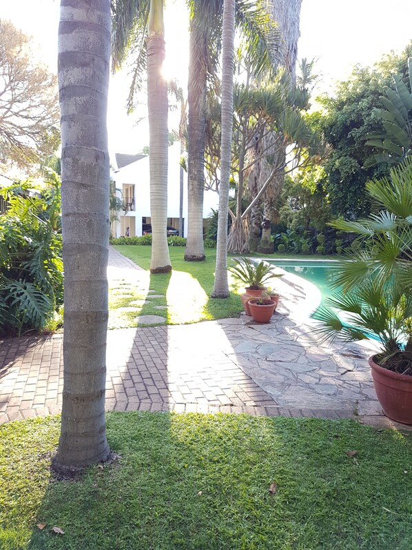 A paved pathway leading to a pool area surrounded by palm trees and potted plants.