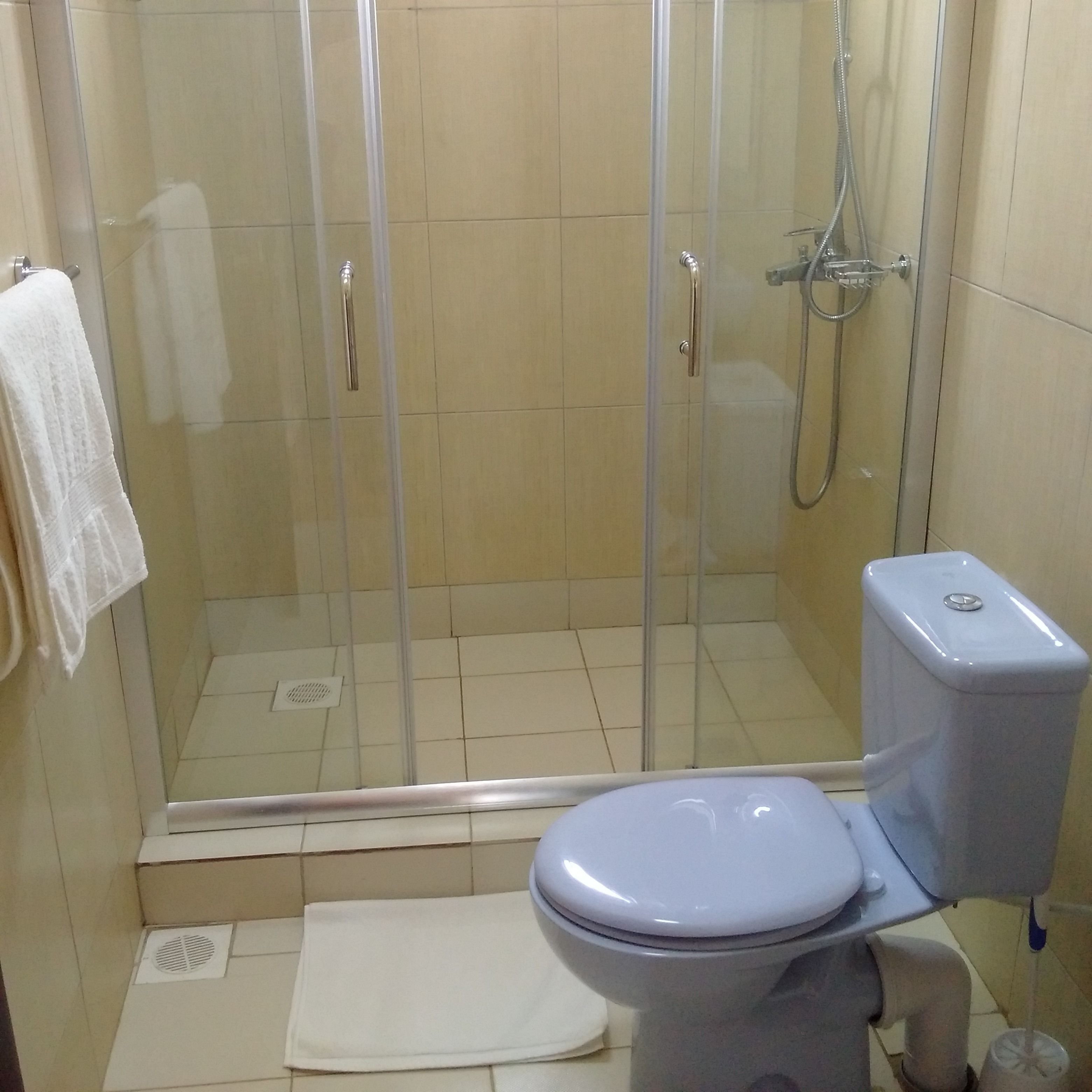 A bathroom with a glass-enclosed shower, a toilet, and a sink.