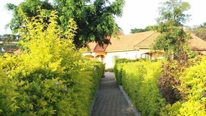 A pathway leading to a building with a tiled roof and arched windows.