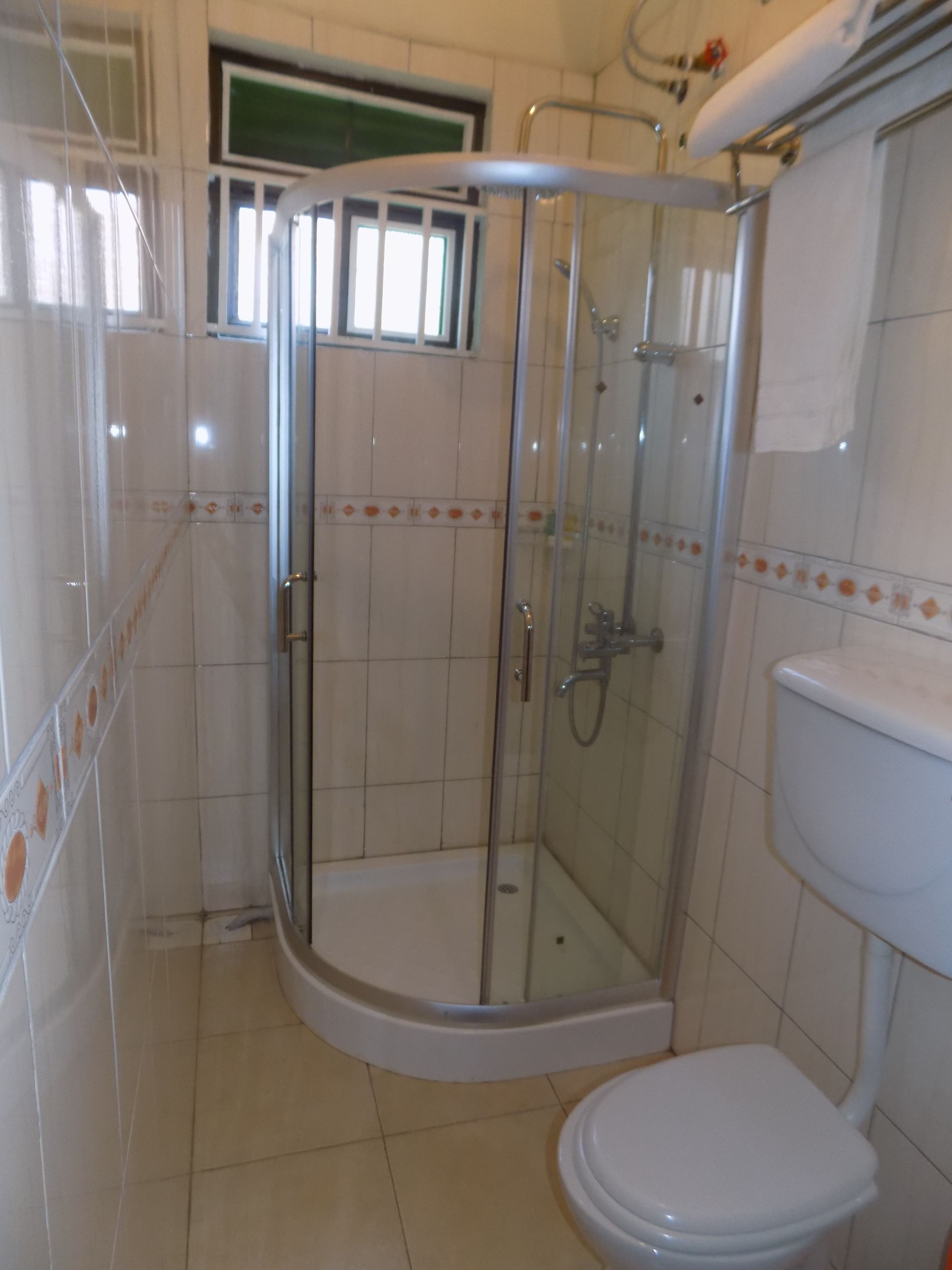 deluxe double room | bathroom shower