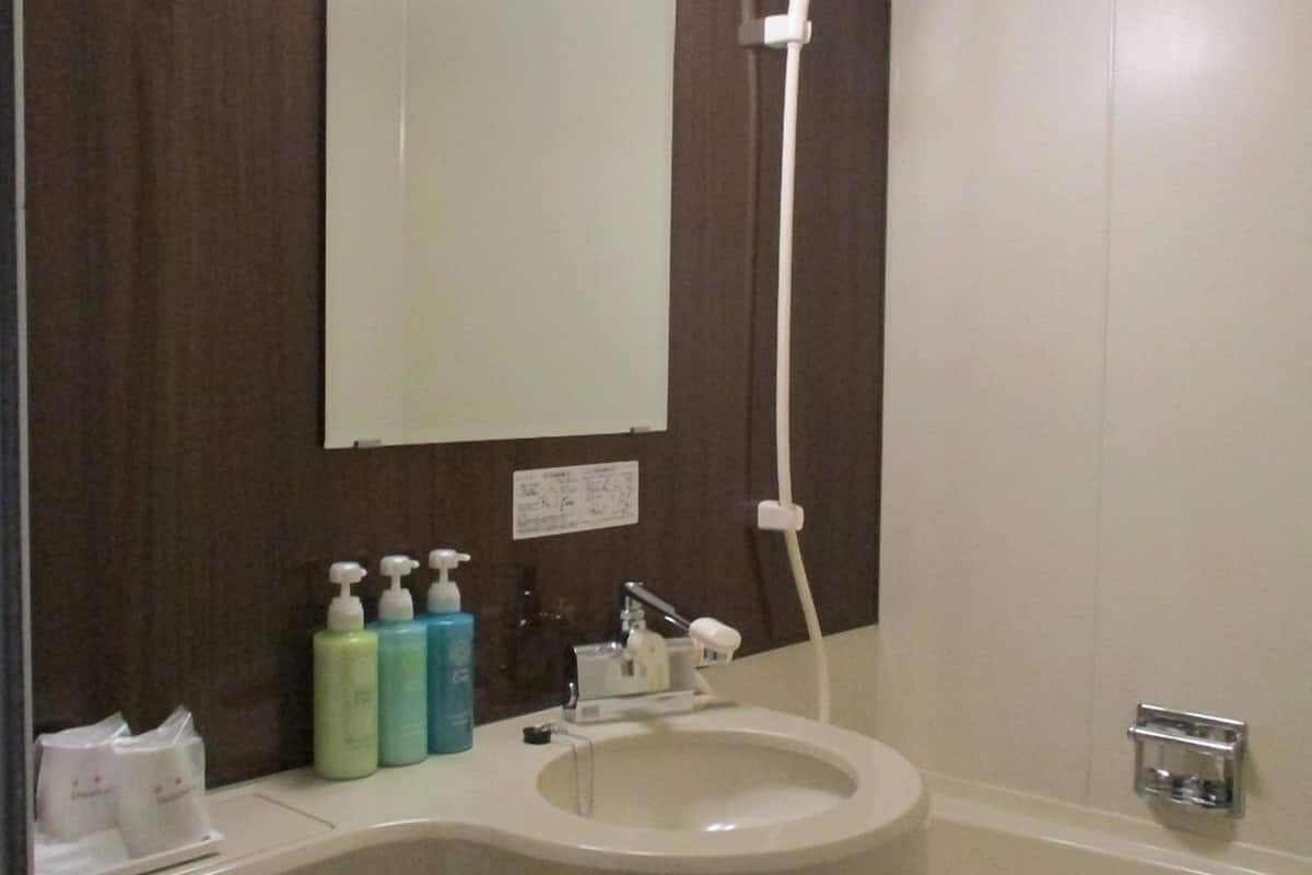 combined shower/bathtub, free toiletries, hair dryer, slippers