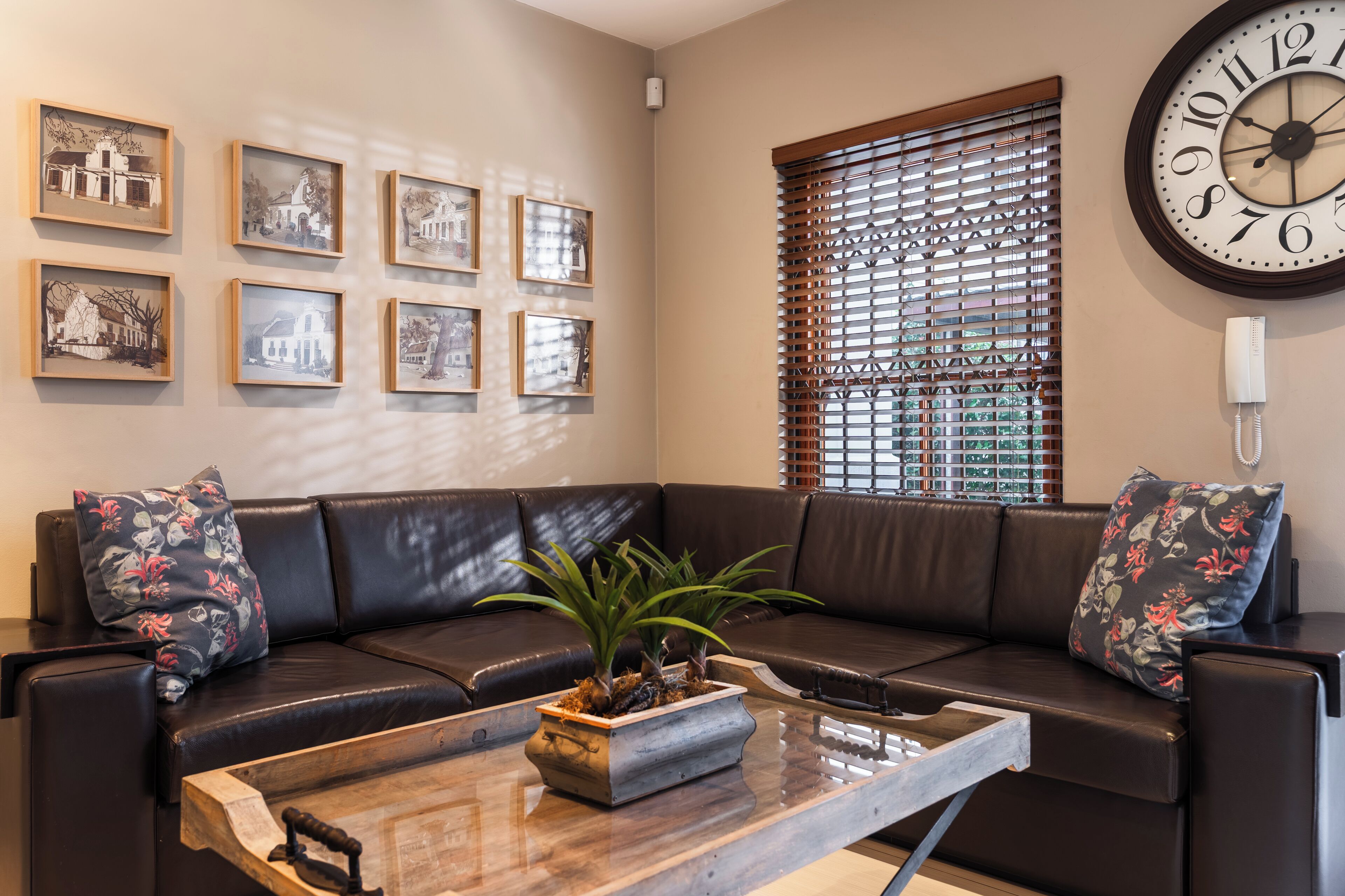 Télévisions à écran plasma, Netflix, services de streaming