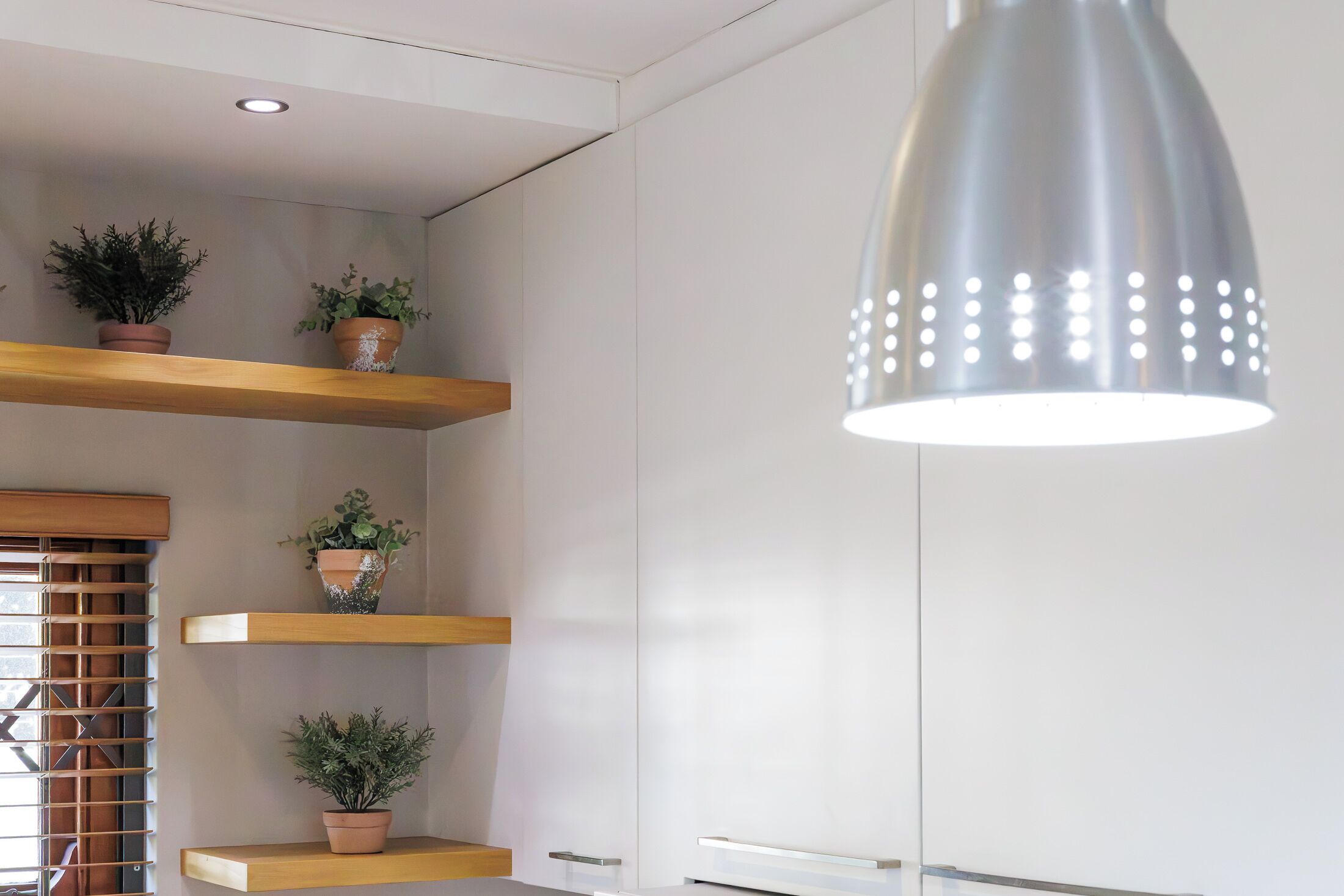 A modern interior with white walls, wooden shelves, and potted plants.
