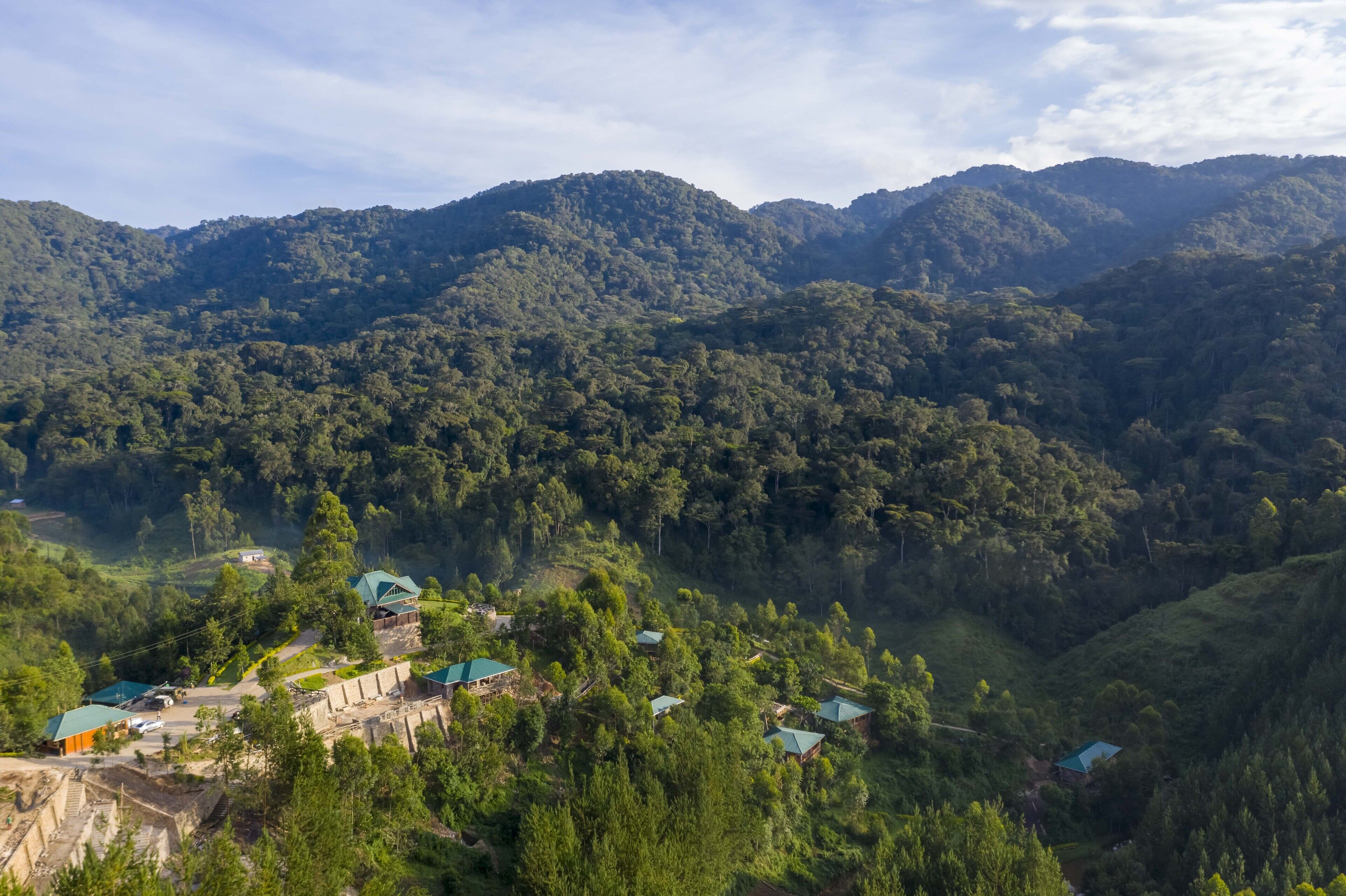 A mountainous landscape with several houses nestled among the trees.