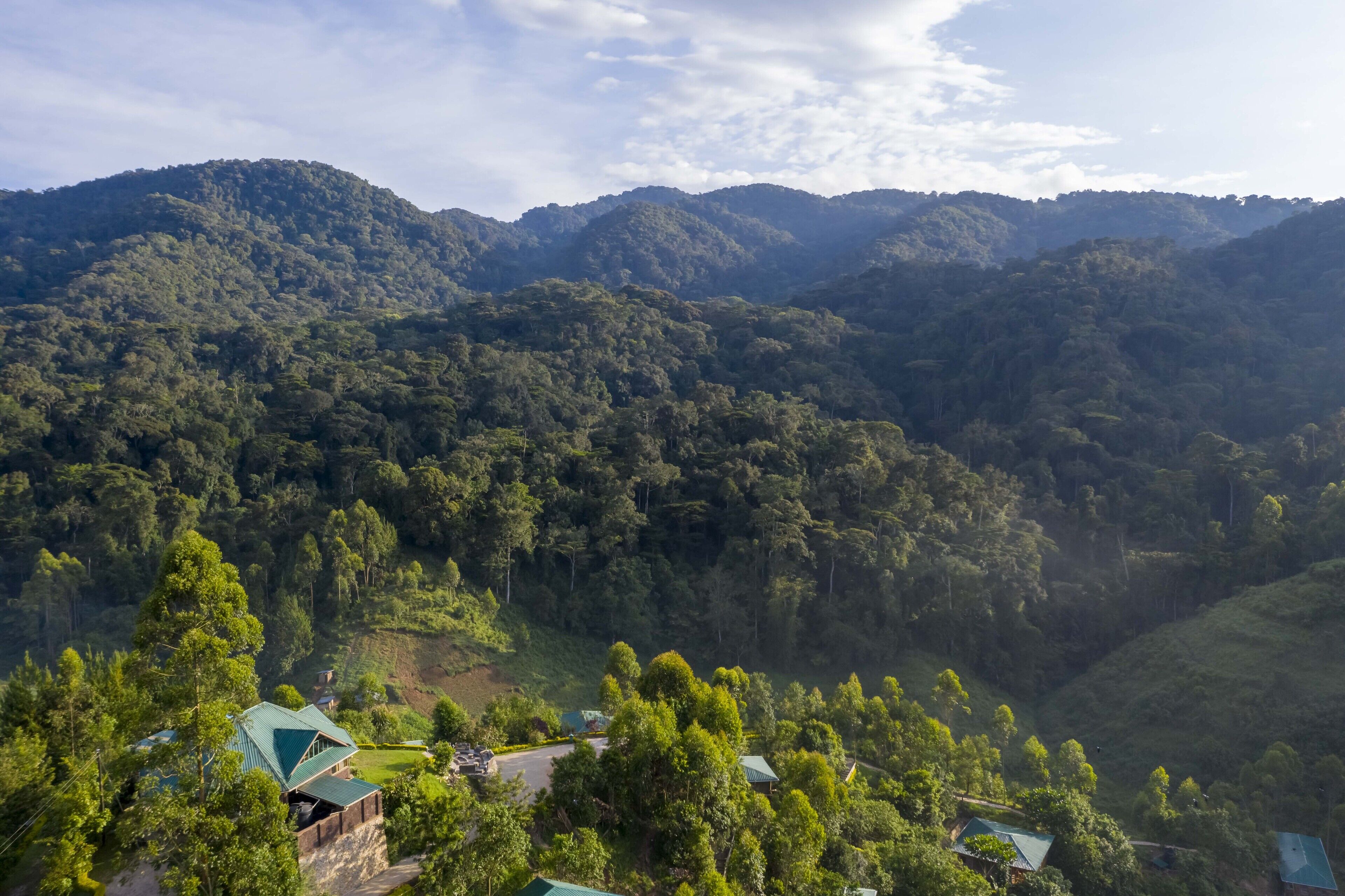 A mountainous landscape with dense forest and a few buildings with green roofs.