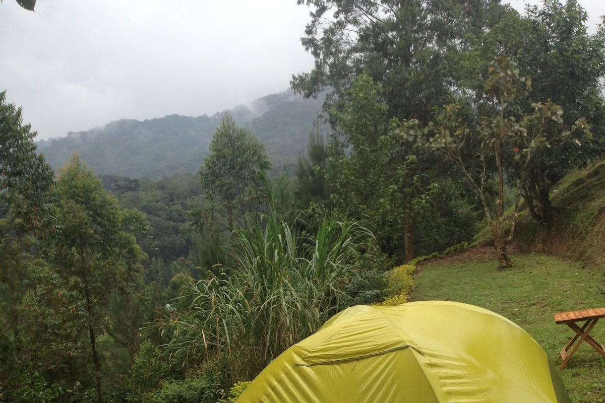 A green tent set up on a grassy area with trees and hills in the background.