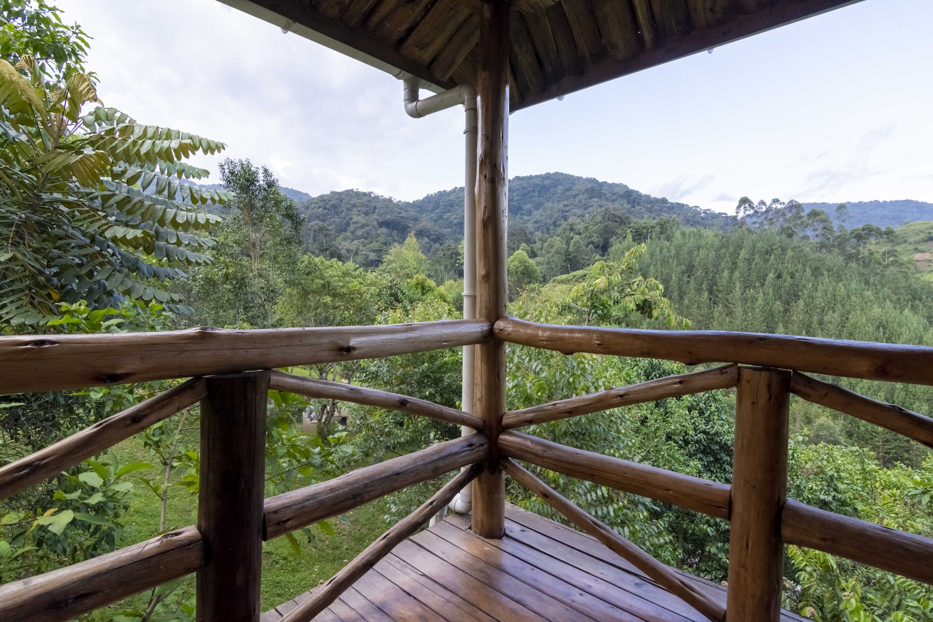 Una terraza de madera con vistas a un bosque frondoso y montañas al fondo.