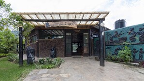 L’entrée du camp Rushaga Gorilla se distingue par un sentier en pierre, un porche abrité et une fresque représentant des gorilles.