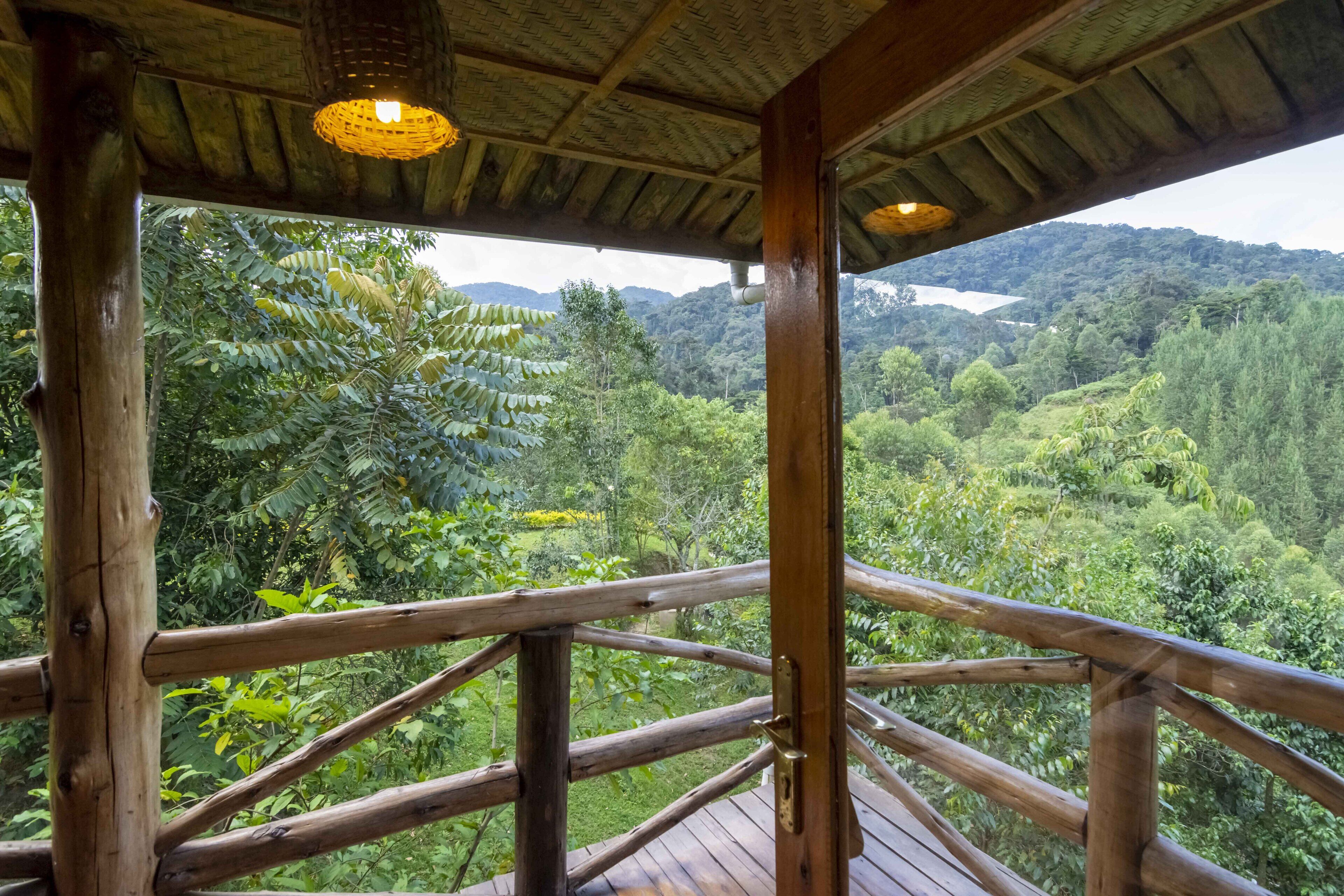 Standard Room | Park view