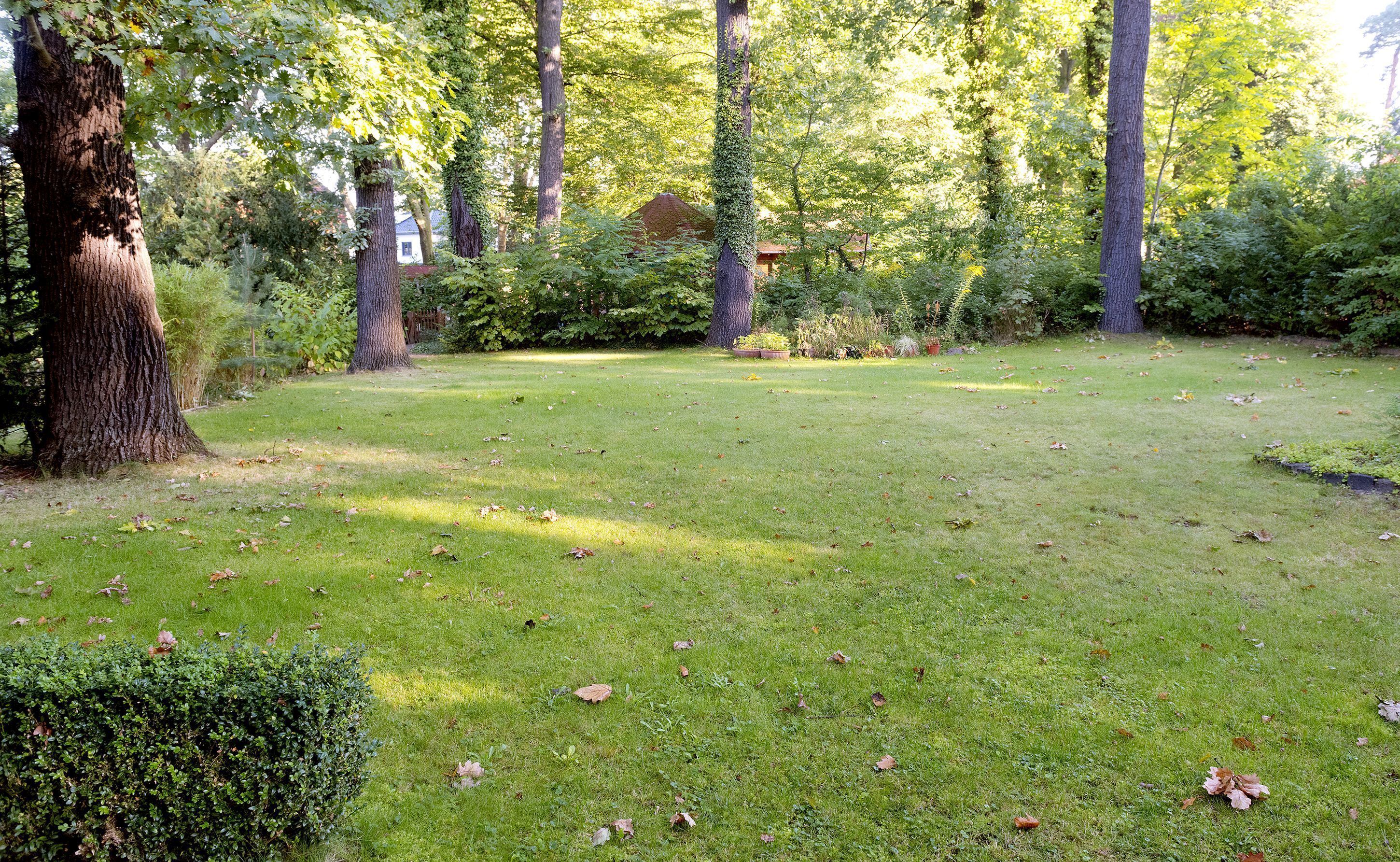 A well-maintained grassy area with trees and shrubs, surrounded by a wooden fence.