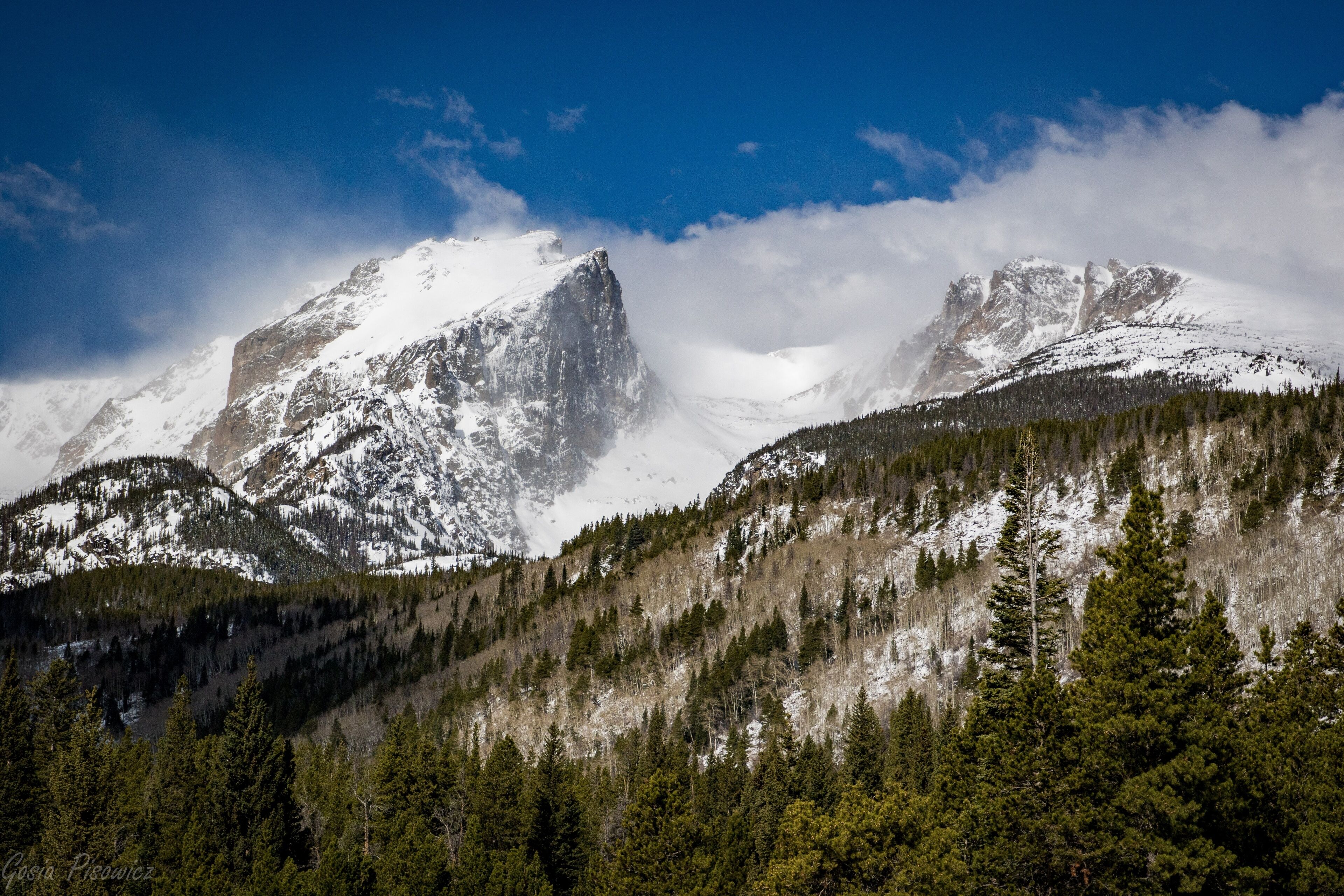Paisagem montanhosa com picos cobertos de neve e florestas densas.
