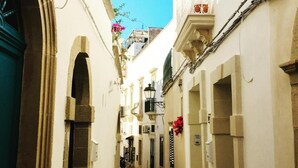 A narrow cobblestone alleyway between buildings with arched doorways and balconies adorned with flowers.