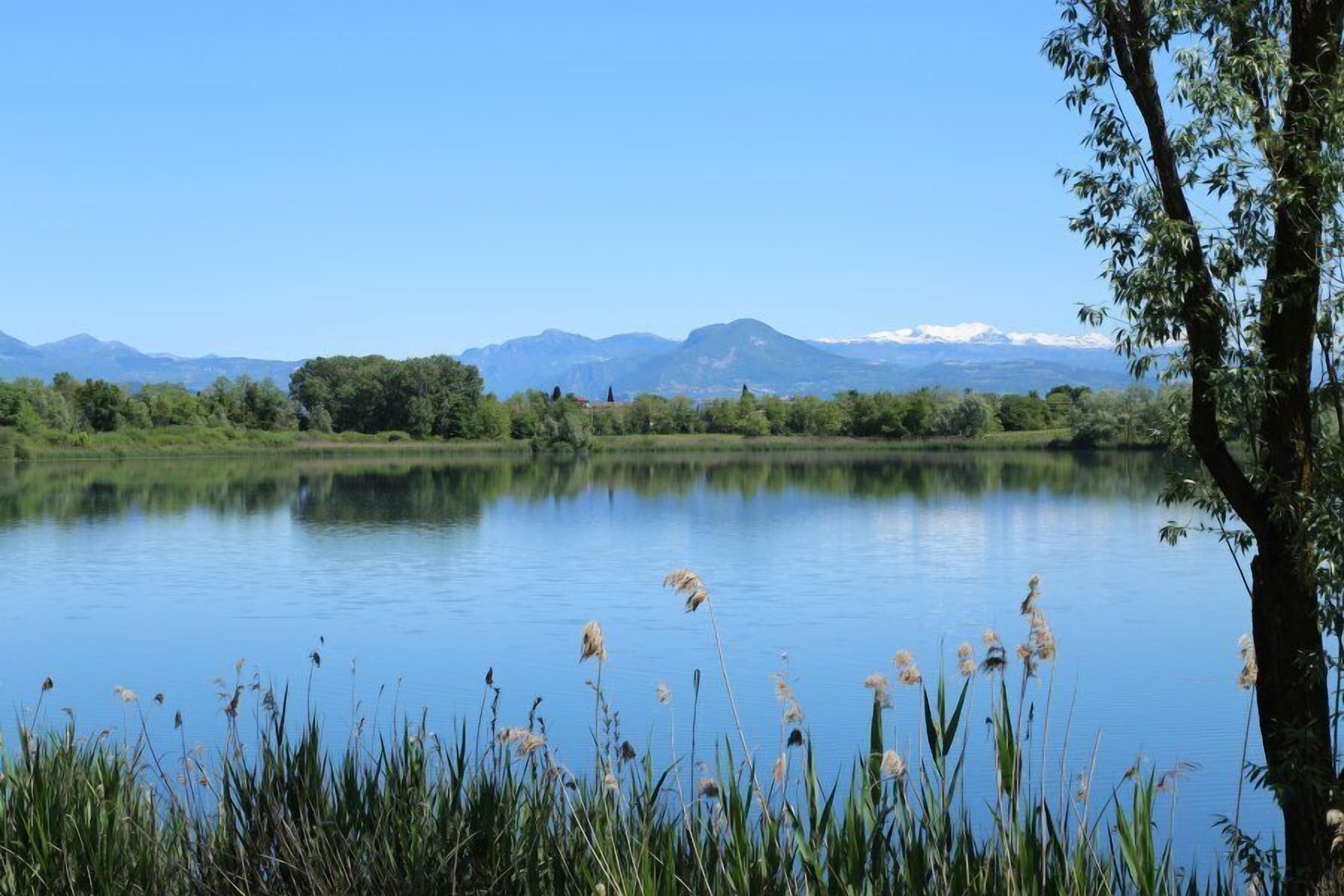 Foto - Bertoletta Village Apartments