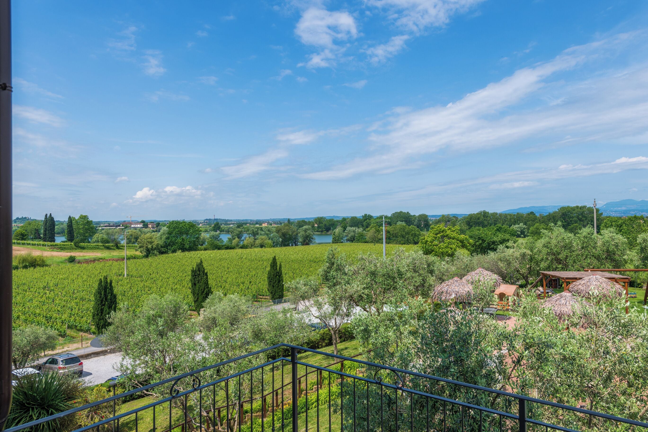 A vineyard with a view of a lake and mountains in the distance.