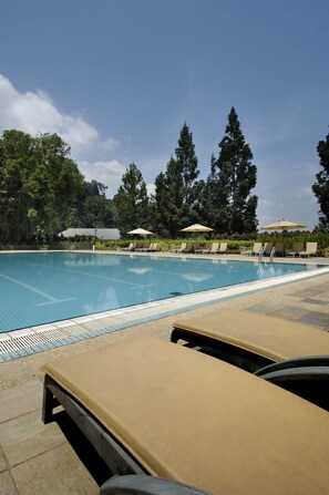 A swimming pool with lounge chairs and umbrellas, surrounded by trees.