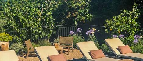 Outdoor pool, open 9:00 AM to 7:00 PM, pool umbrellas, sun loungers