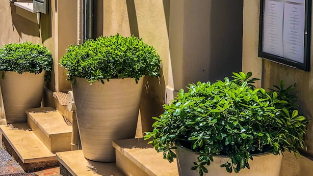 A building facade with a sign reading "La Reserva," potted plants, and a menu board. - Mougins Luxury Retreats (Mougins)