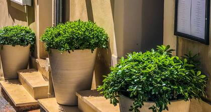 Mougins Luxury Retreats