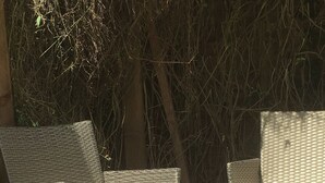Wicker furniture with cushions, a glass table, and a garden with flowers. - The White House Wells 2 Park View (Wells)