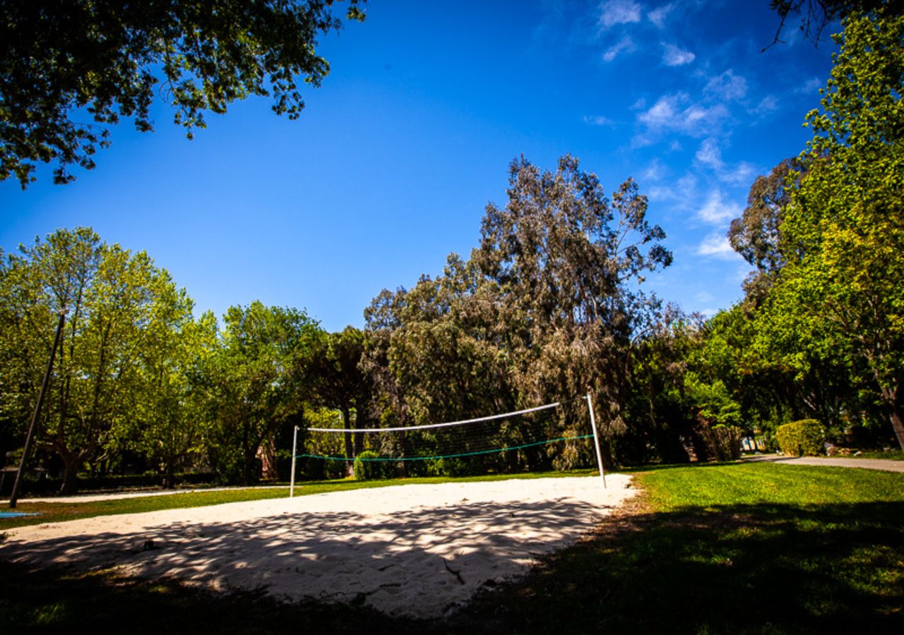 Un terrain de volley-ball entouré d’arbres, sous un ciel bleu dégagé.