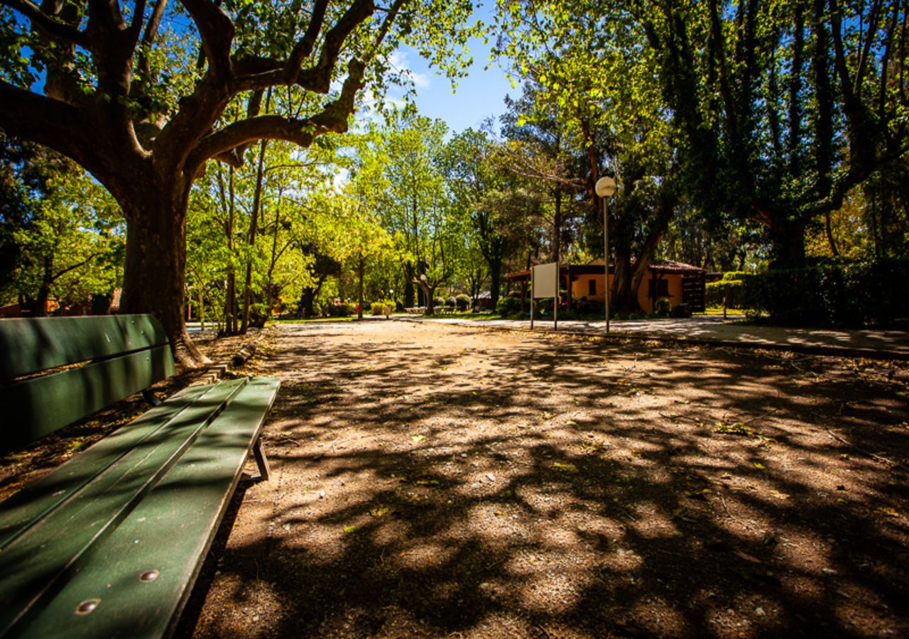 Ein Park mit einem großen Baum, einer Bank und einem Gebäude im Hintergrund.