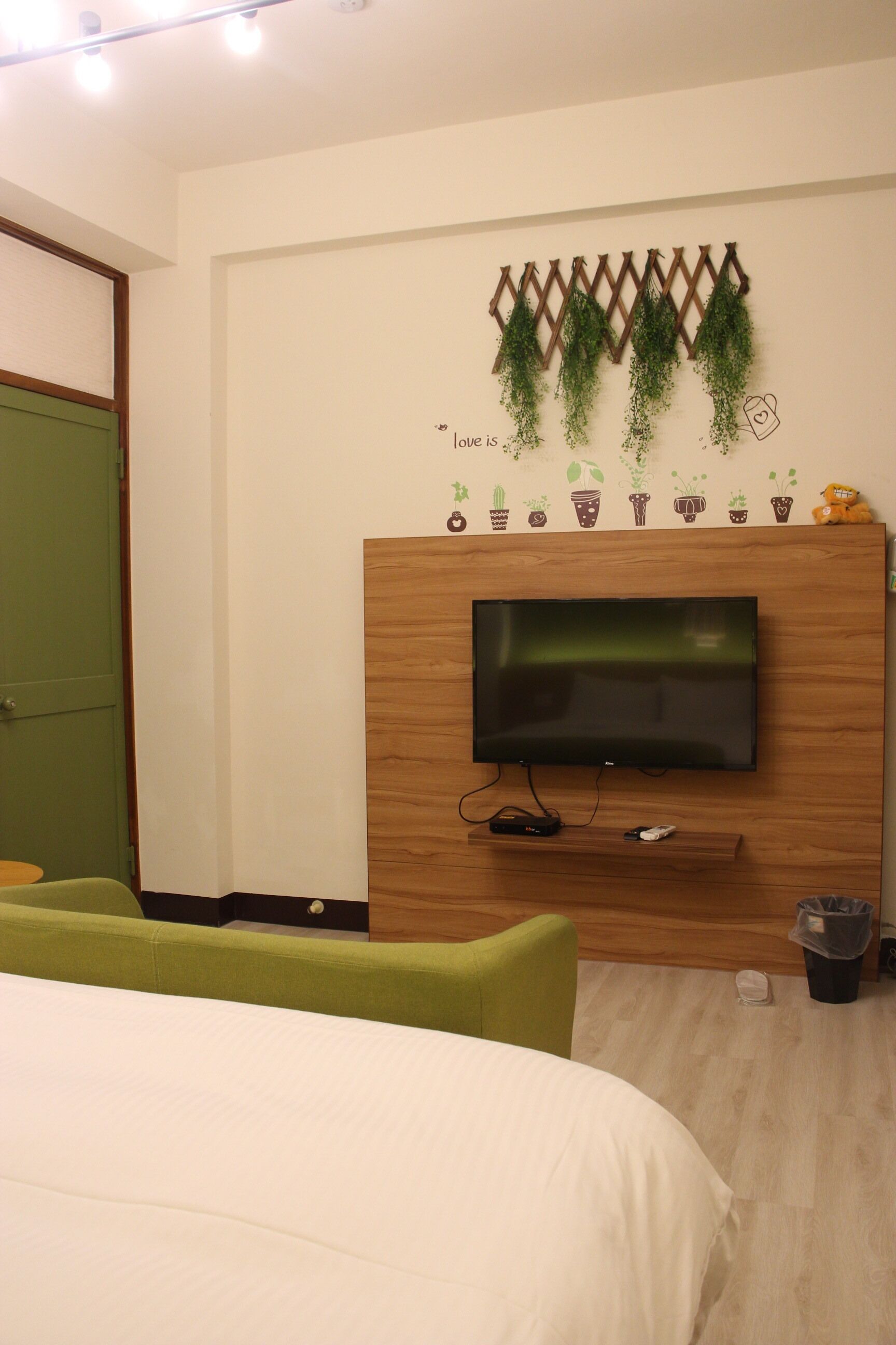 A bedroom with a bed, a TV mounted on a wooden panel, a green door, and a wall with a plant hanging decoration.