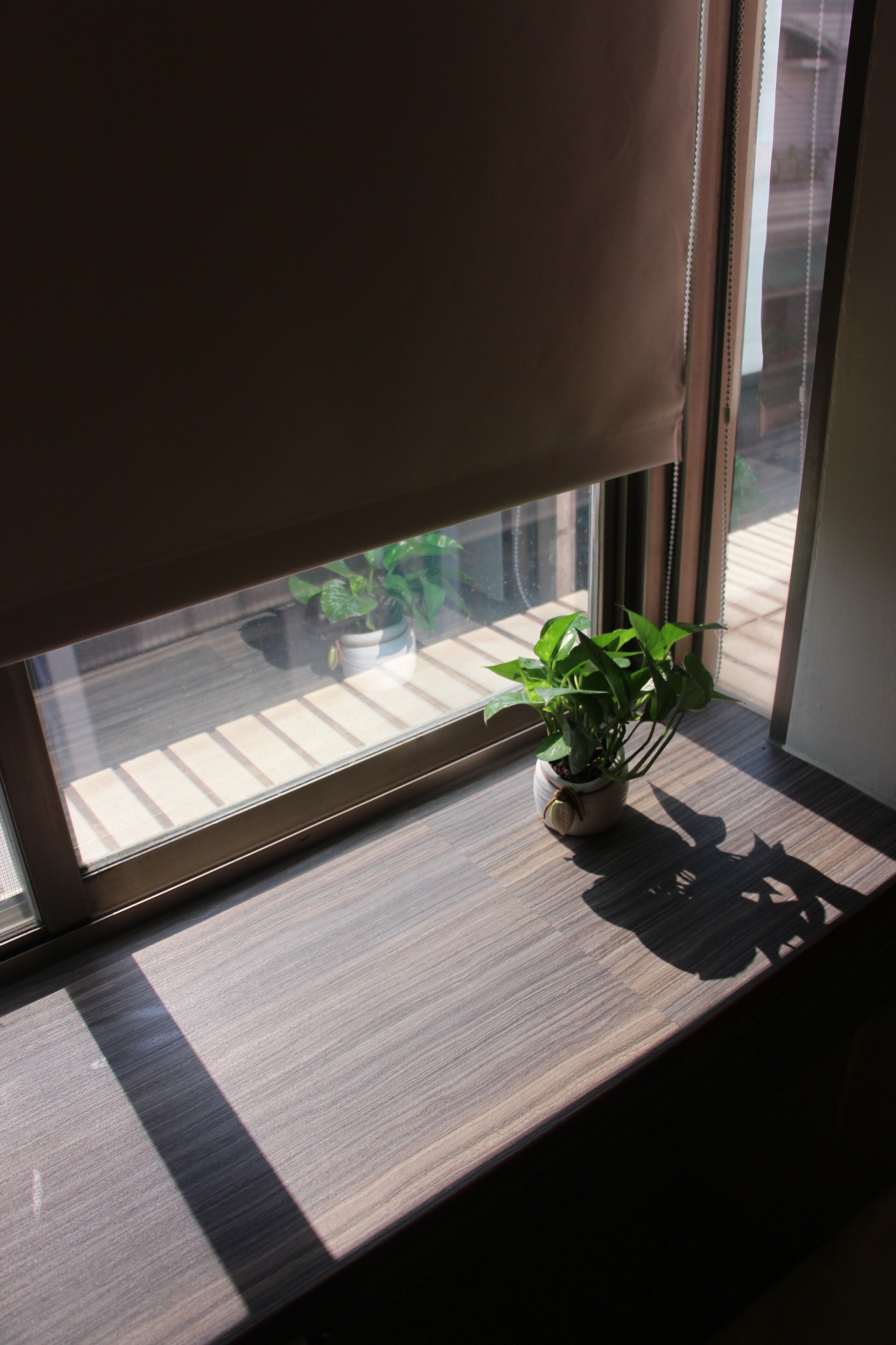 A window with a wooden sill and a potted plant on it.
