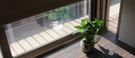 A window with a wooden sill and a potted plant on it.