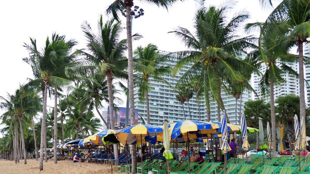 Ein Strand mit Reihen grüner Liegestühle und gelb-blauer Sonnenschirmen, Palmen und einem großen Hotel im Hintergrund.