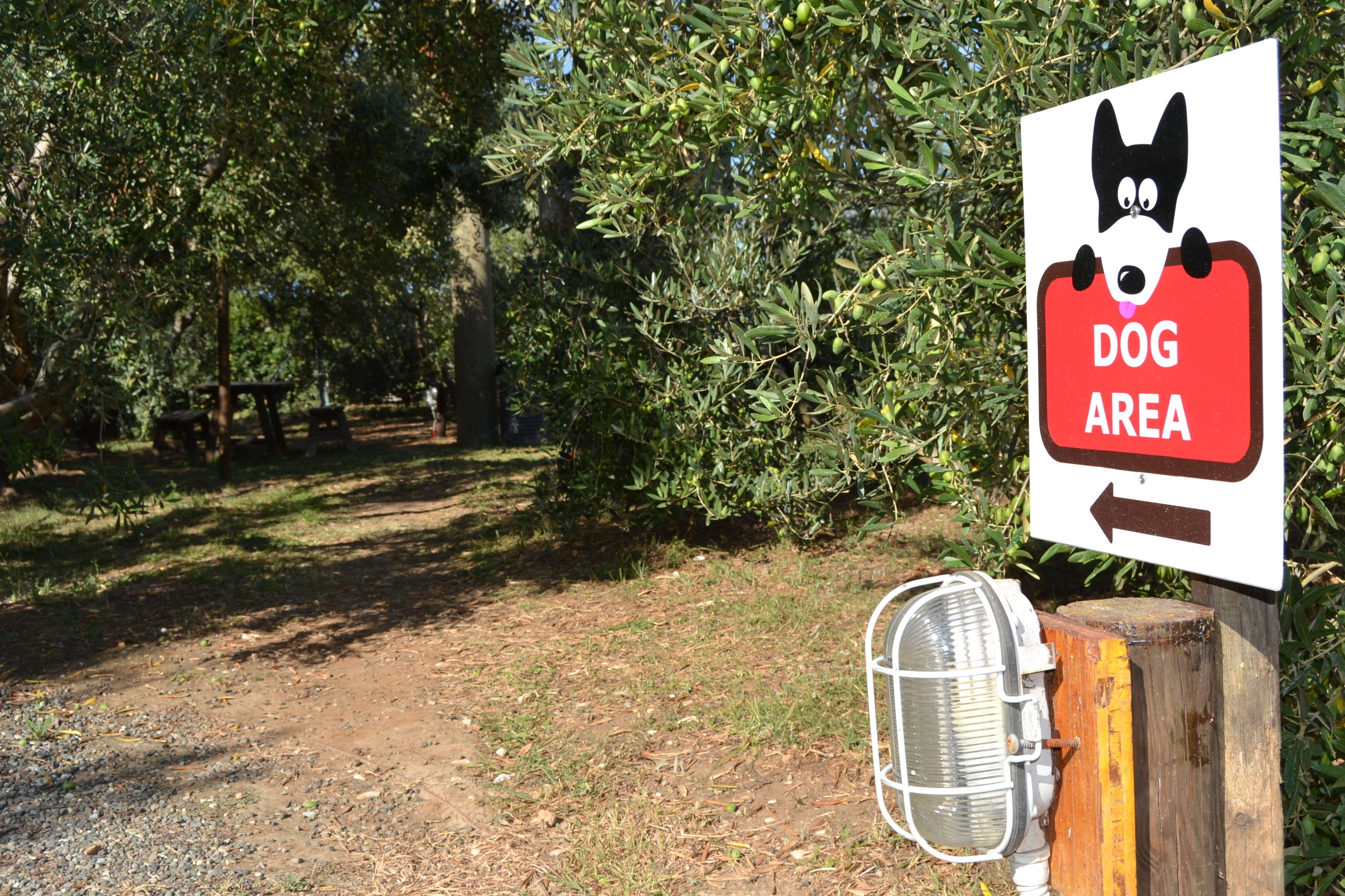 A sign indicating a dog area with a directional arrow.