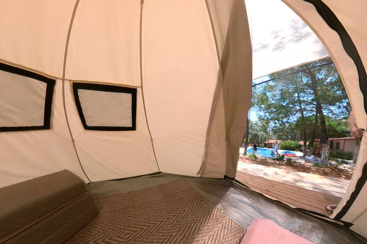 A tent with a sleeping area, a window, and a view of a residential area.