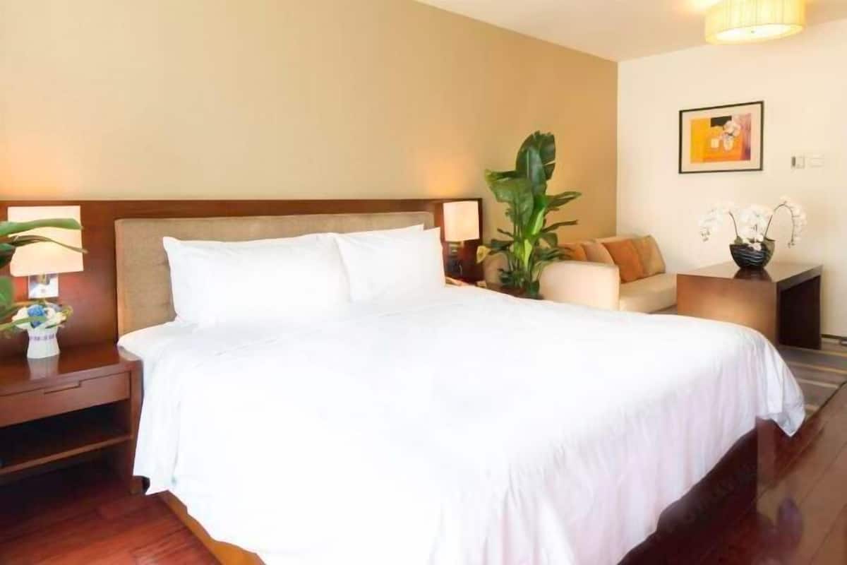 Premium bedding, in-room safe, desk, blackout curtains
