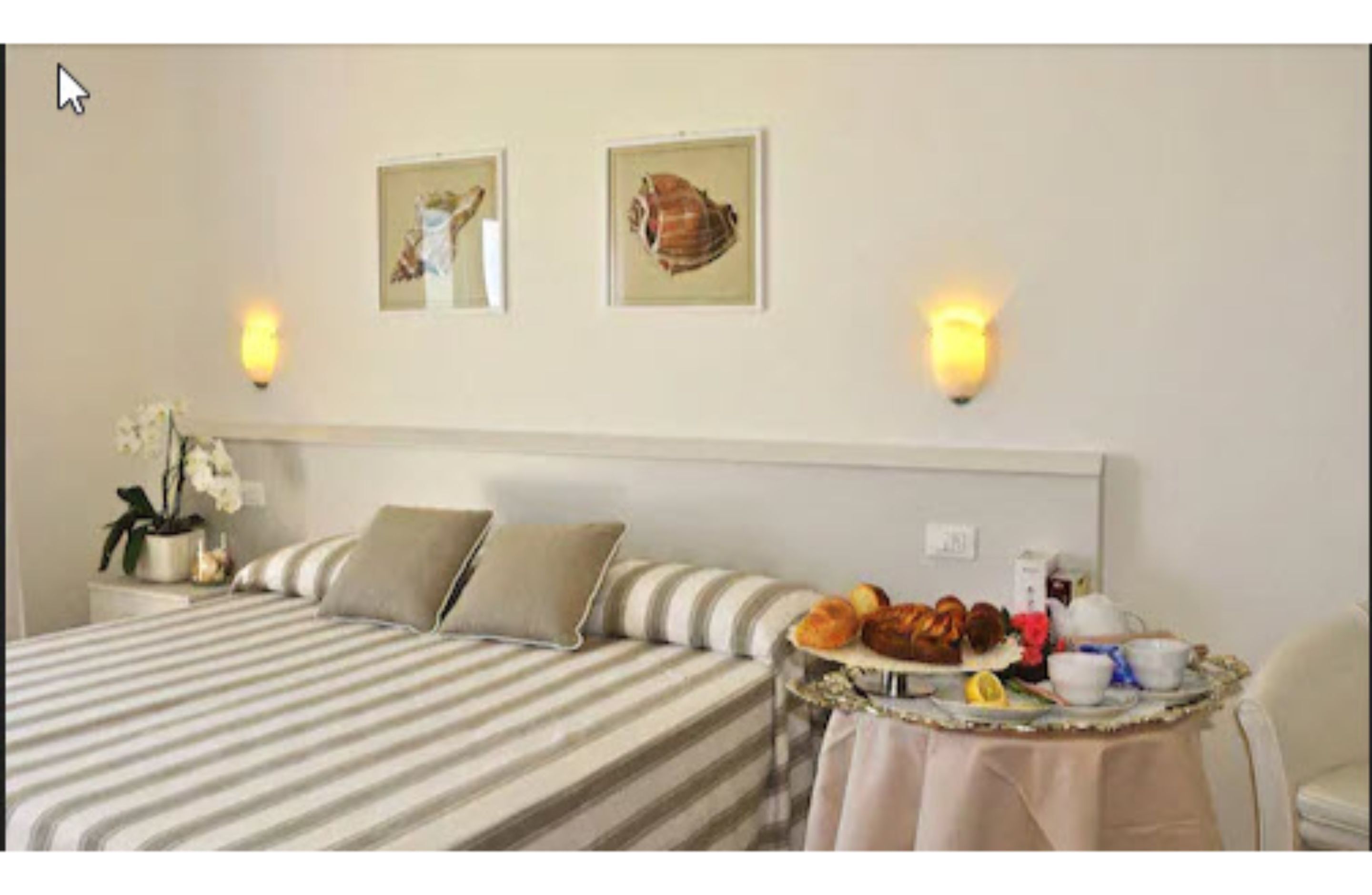 Foto - Hotel Plaza Esplanade