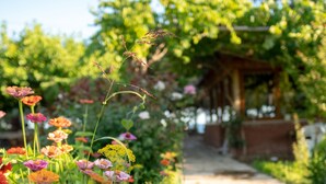 Un sentier de jardin bordé de différentes fleurs et, au fond, une pergola en bois.