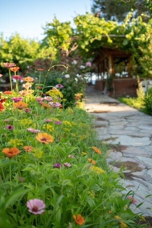 Garden view - Ova Butik Otel (Datça)