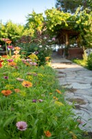 Vista al jardín