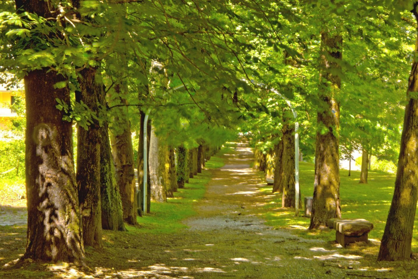 Foto - Hotel Mas de Xaxas