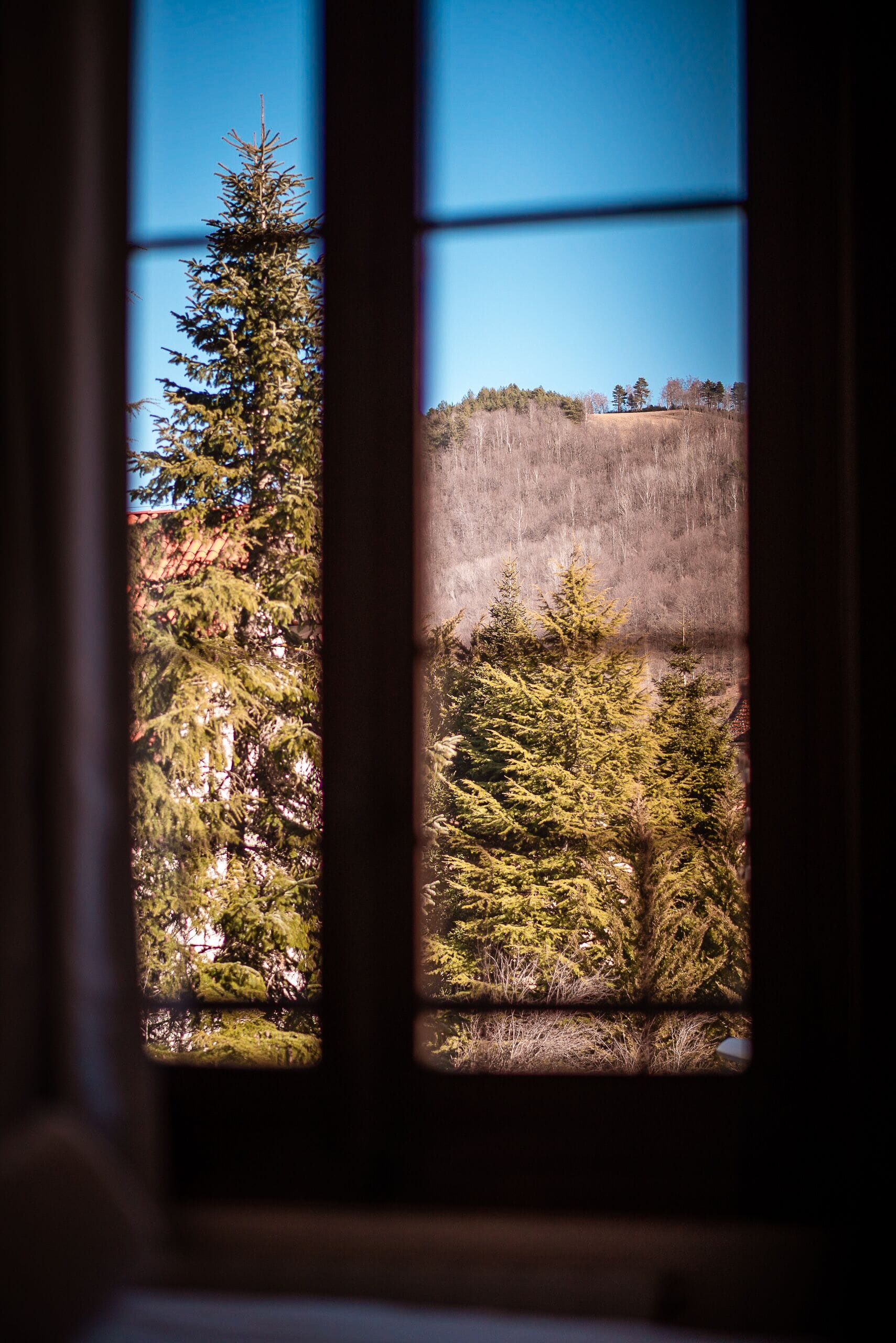 superior double room | 1 bedroom, free wifi, bed sheets