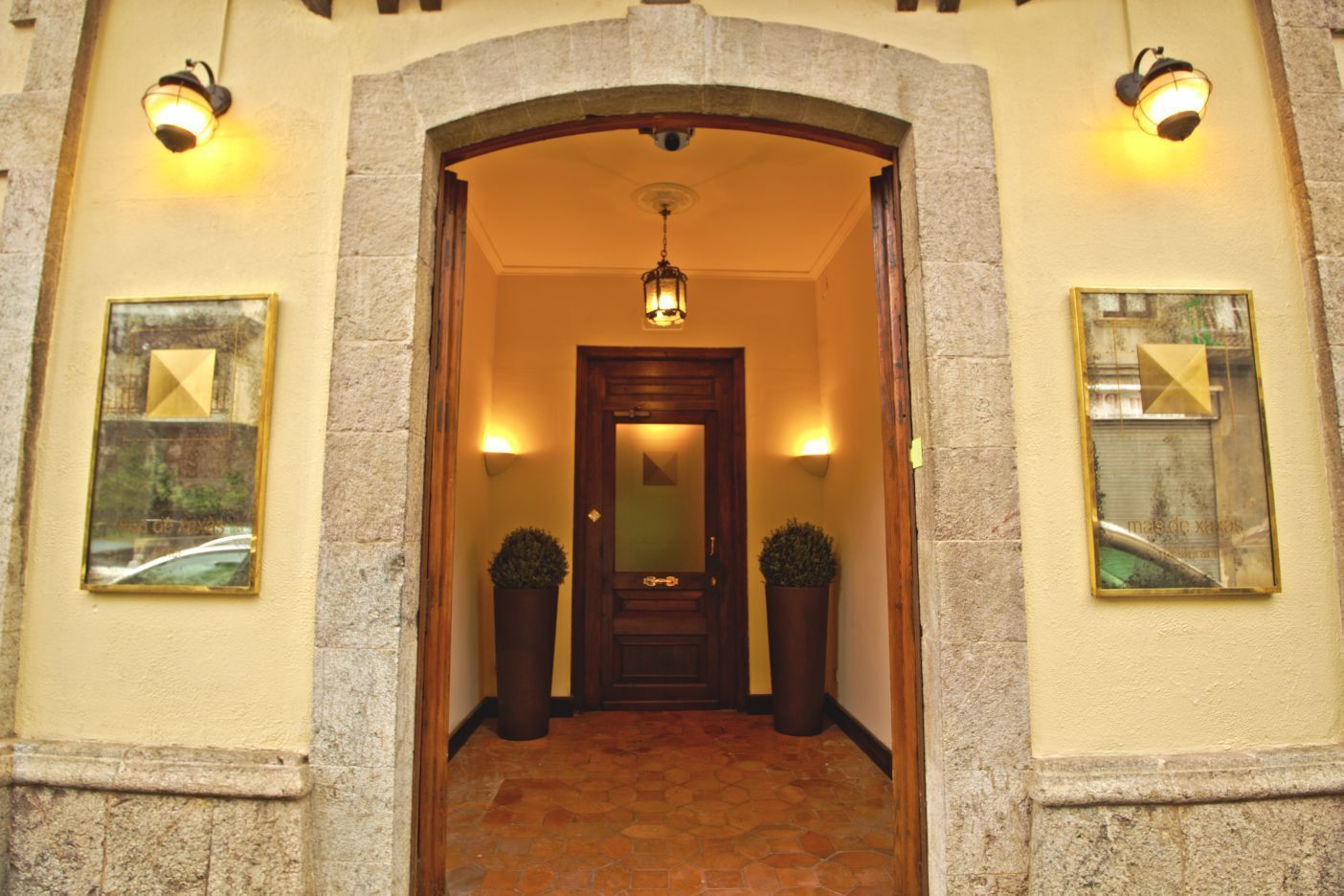 A hallway with a stone archway, a wooden door, and two potted plants.