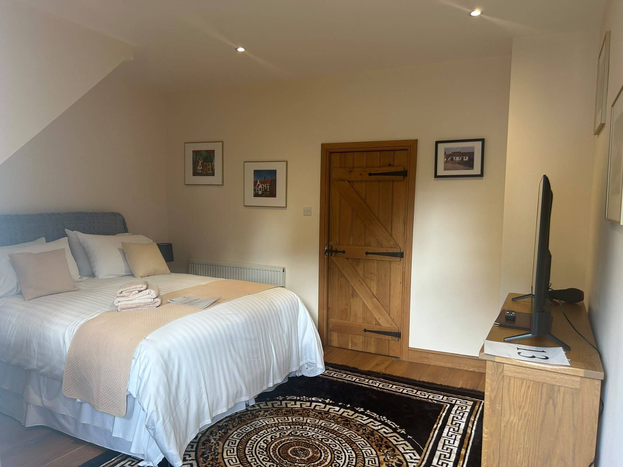 A bedroom with a bed, a wooden door, a television, and a small rug.