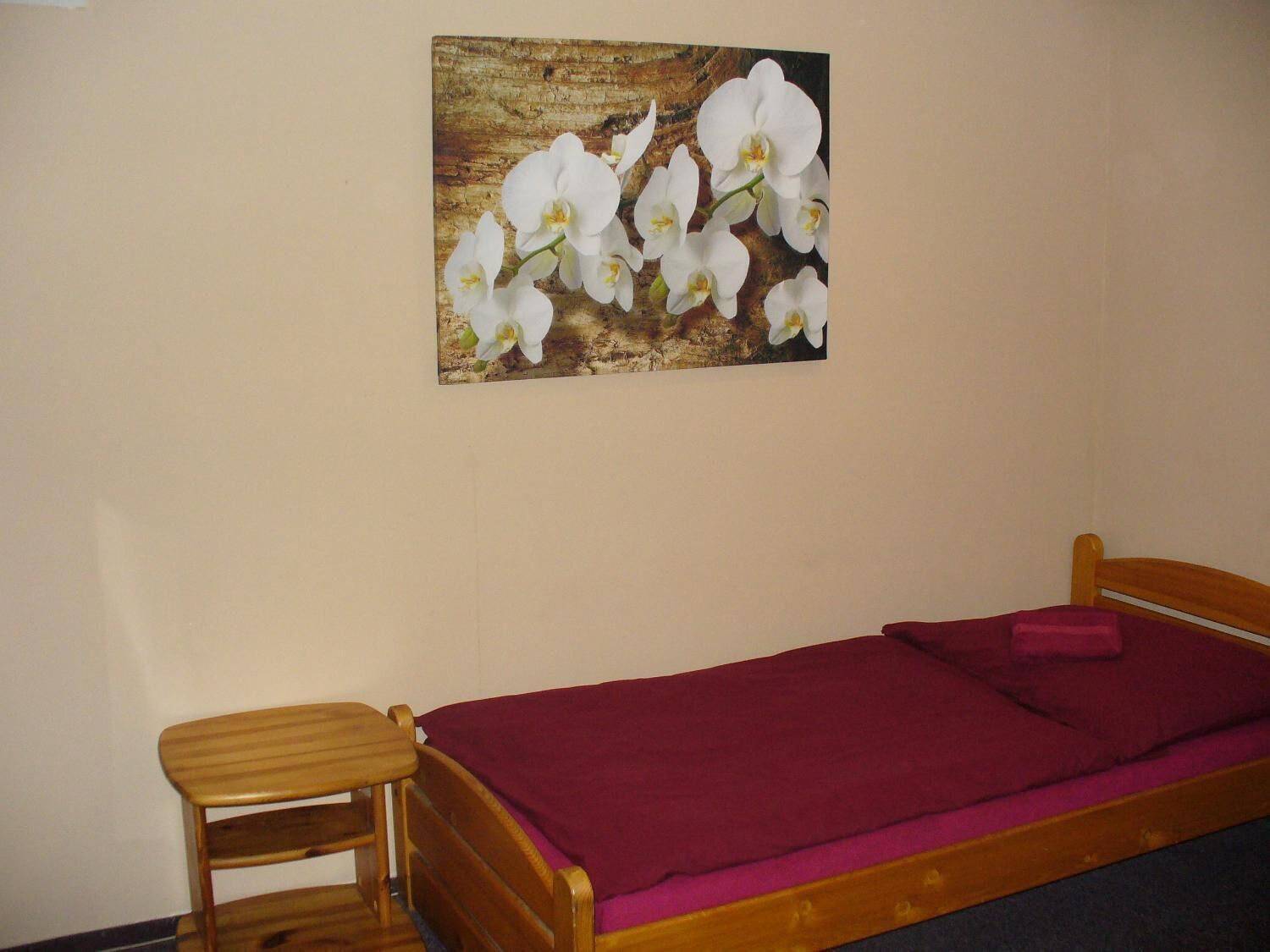 Cortines opaques, planxa i posts de planxar i wifi gratuïta 