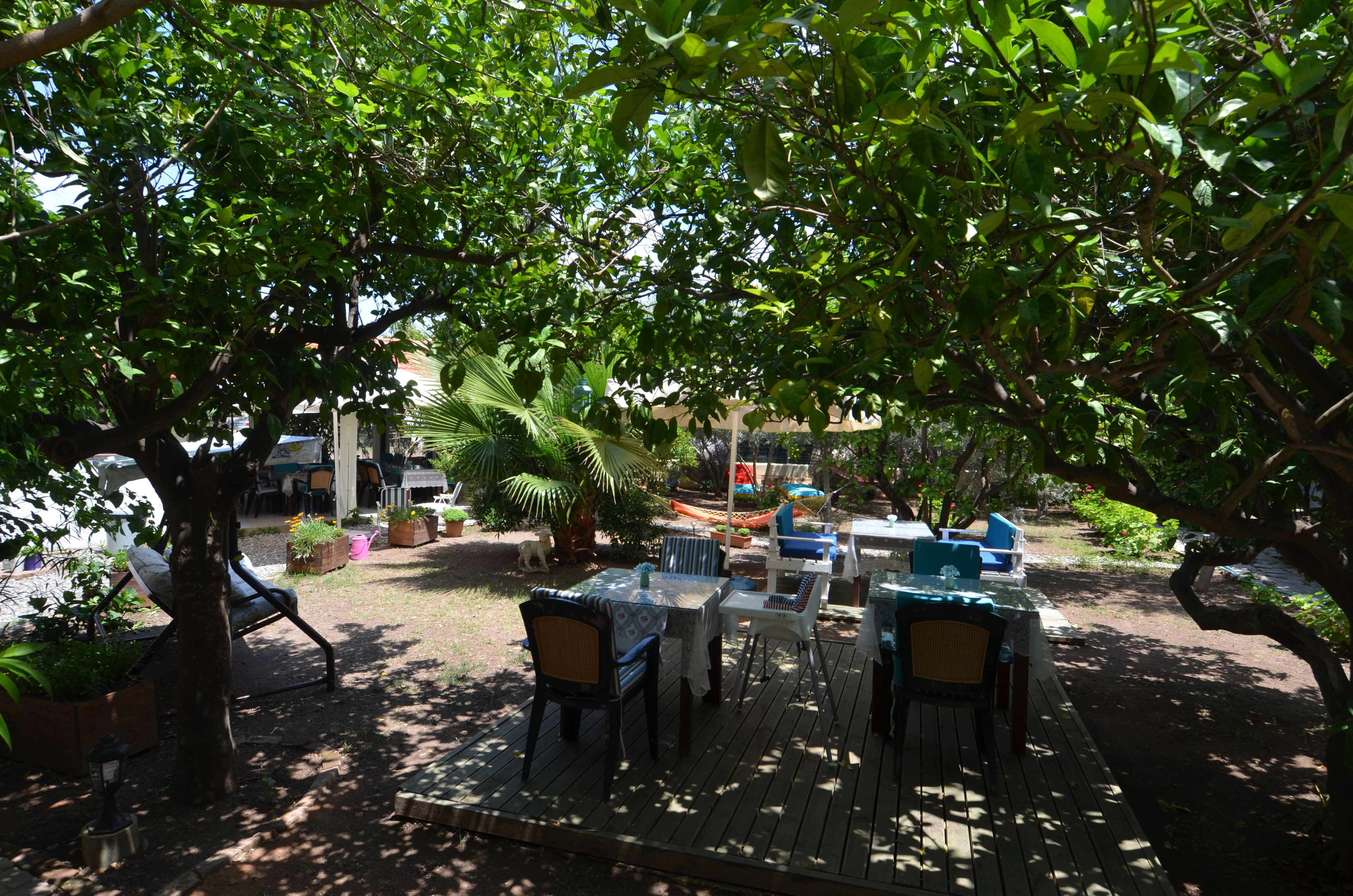 Un patio al aire libre con mesas y sillas de madera, rodeado de abundante vegetación y árboles.