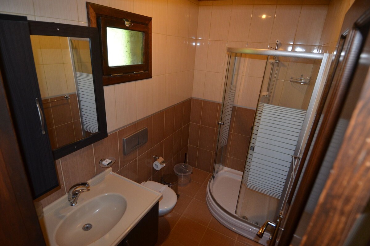 Une salle de bain équipée d’un lavabo, de toilettes et d’une douche à parois de verre.
