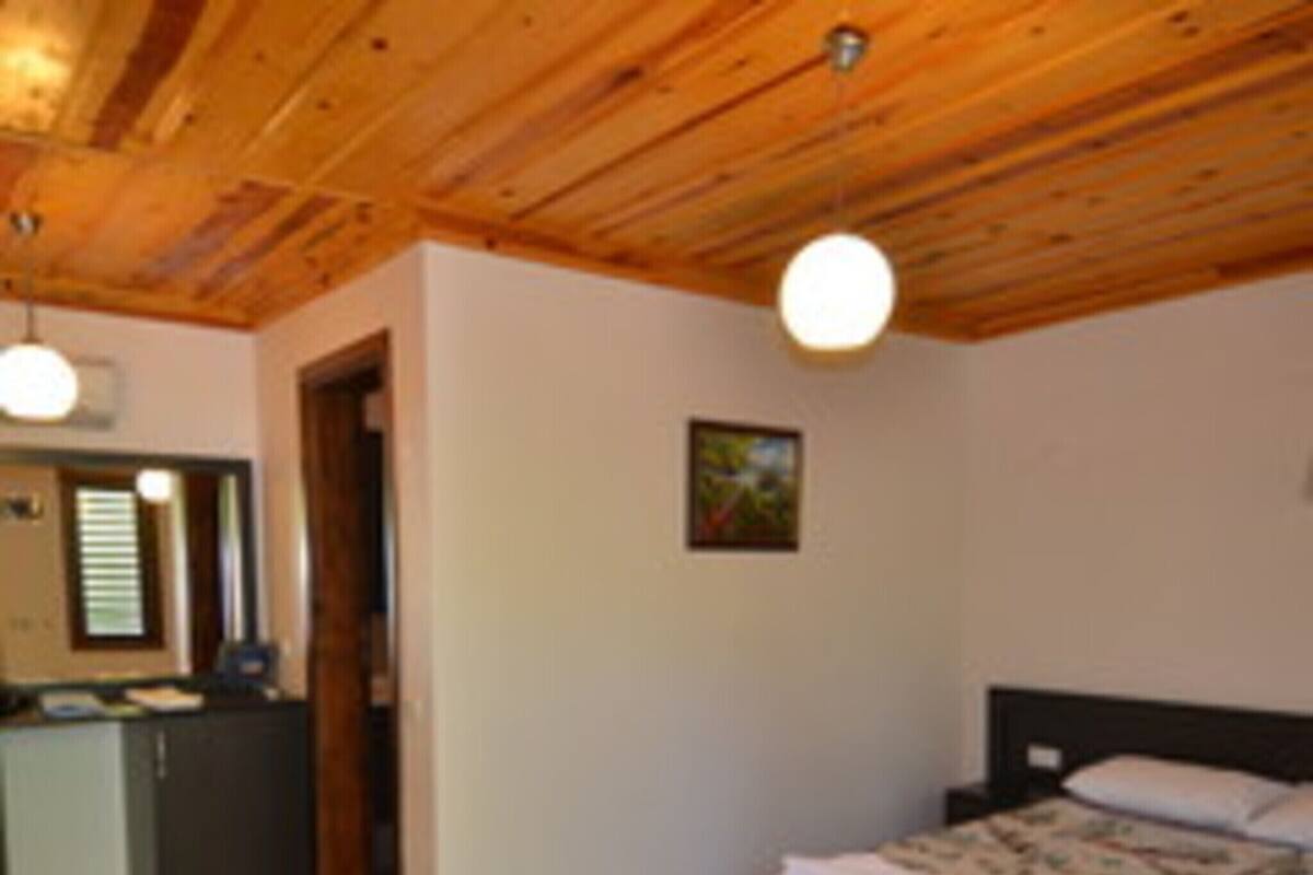 Iron/ironing board (on request), WiFi (free), individually furnished