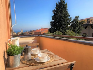 Apartment, 1 Bedroom, City View | Lake view